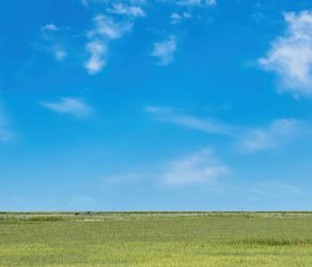 Celebrate Substance Use Prevention Month with the Parents Lead Billboard Contest!