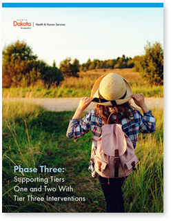 Phase Three: Supporting Tiers One and Two with Tier Three Interventions